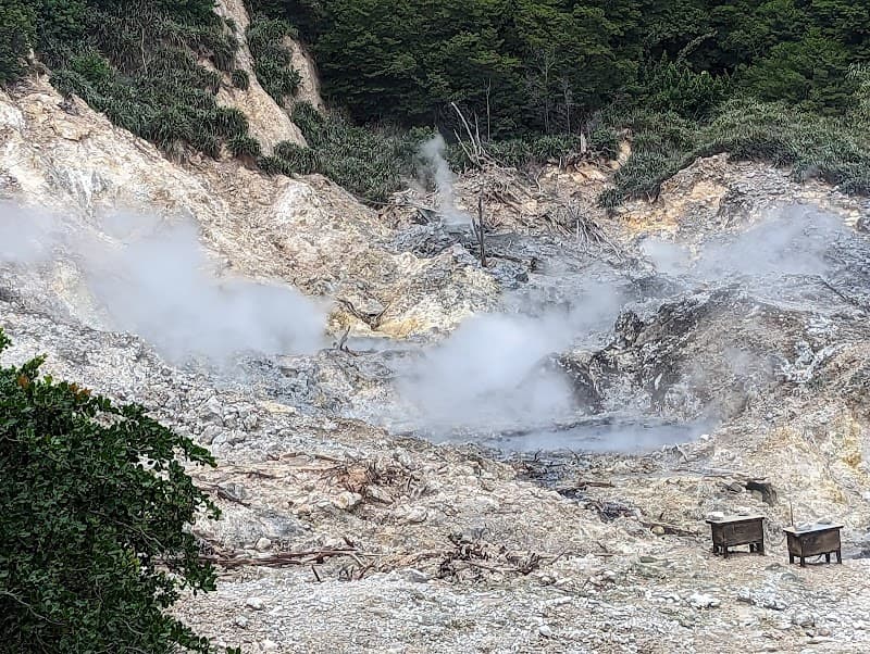 Sulphur Springs Park (Mud Baths & Mineral Waterfall)