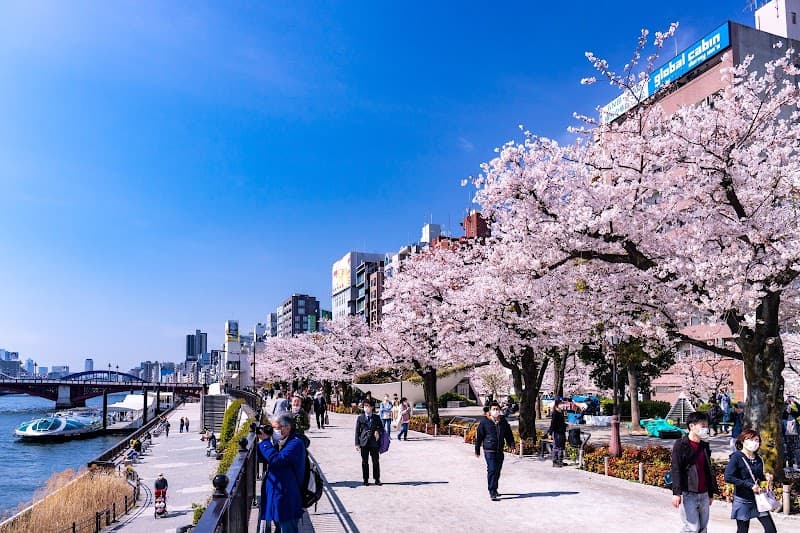 Sumida Park Free Explore