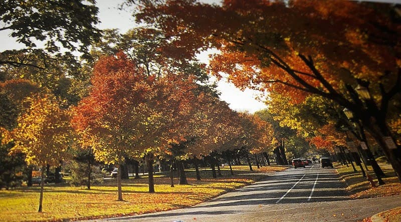 Summit Avenue Stroll