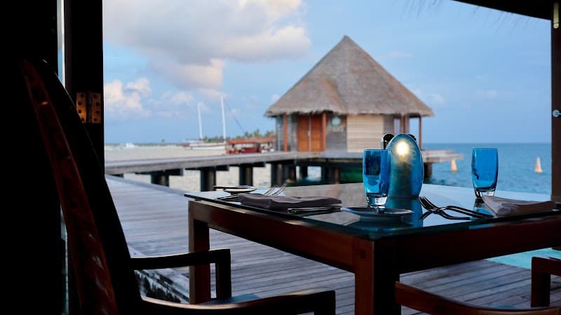 Sunset Dolphin Cruise