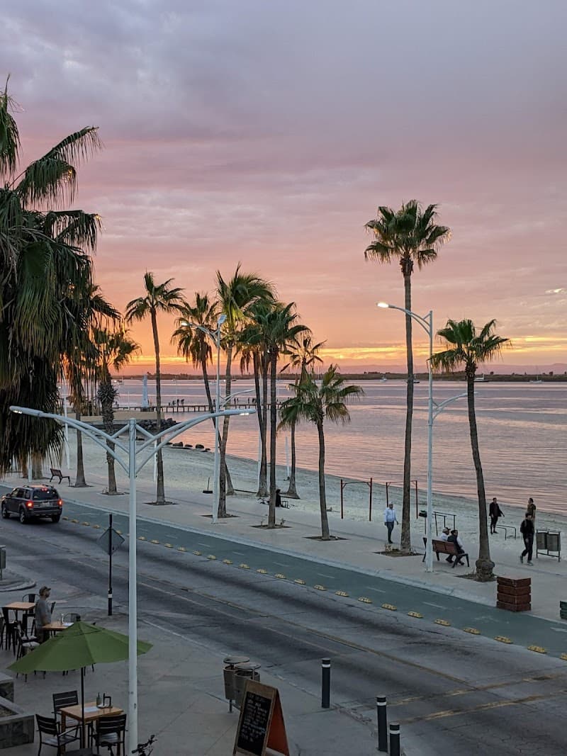 Sunset Wine Tasting at a Malecón Wine Bar