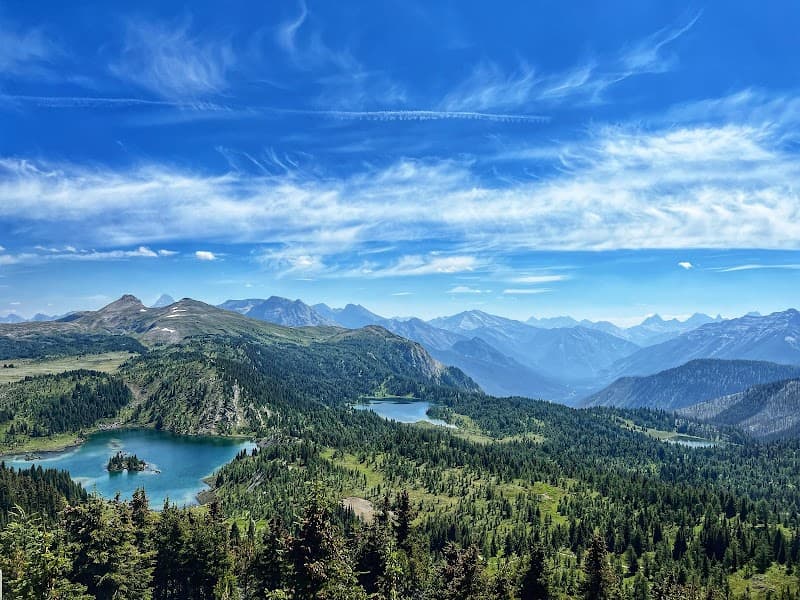 Sunshine Meadows Hike