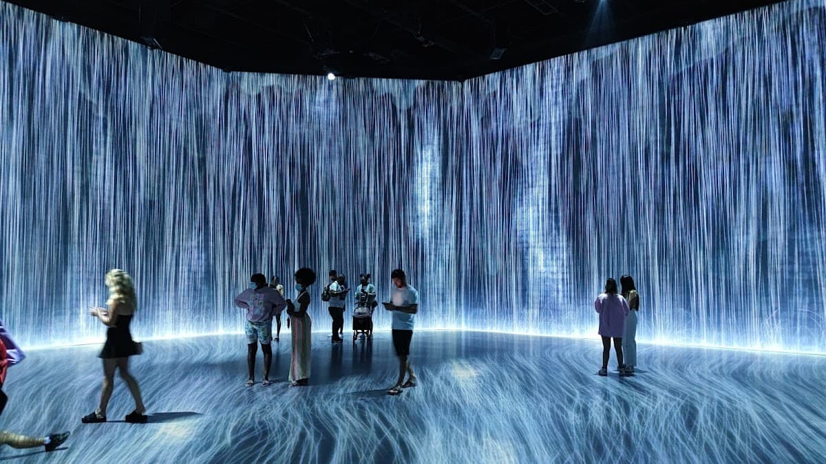 Superblue Immersive Art