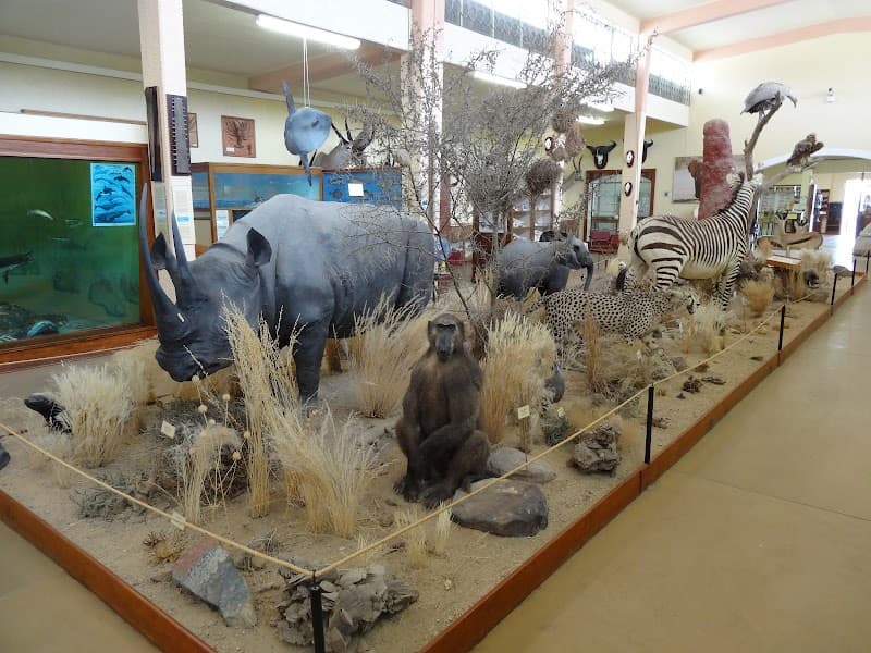 Sand, Sea & Dunes: 7 Romantic Days in Swakopmund