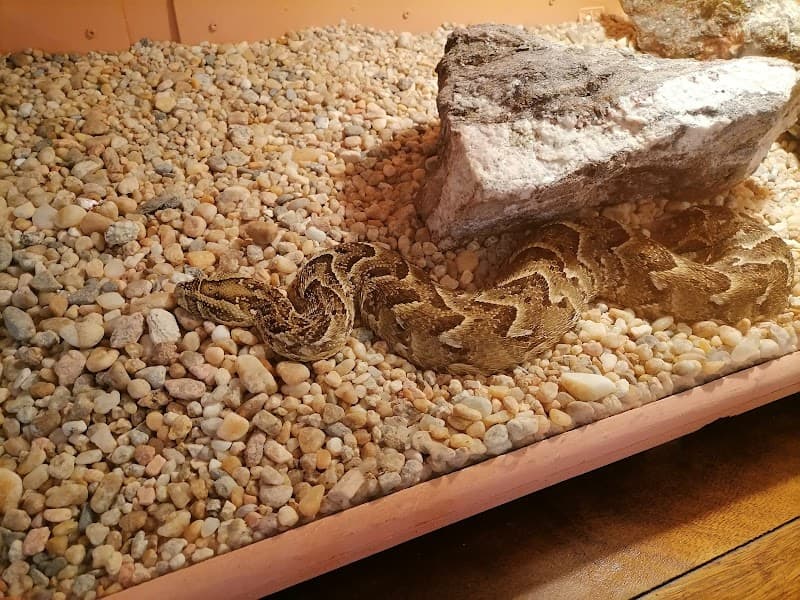 Swakopmund Snake Park or Aquarium (Choose One)
