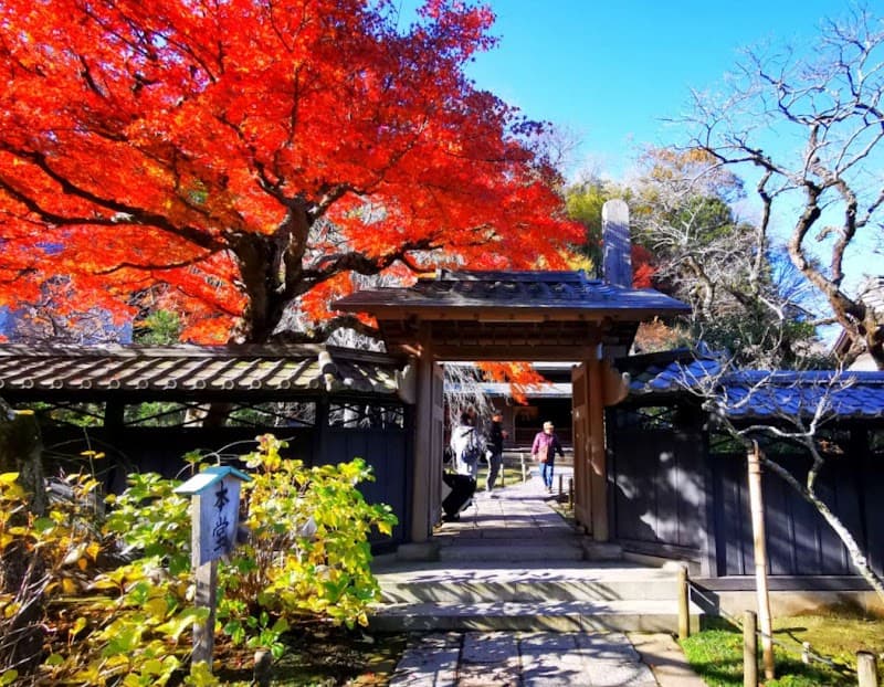 Tōkei-ji & Surrounding Lanes