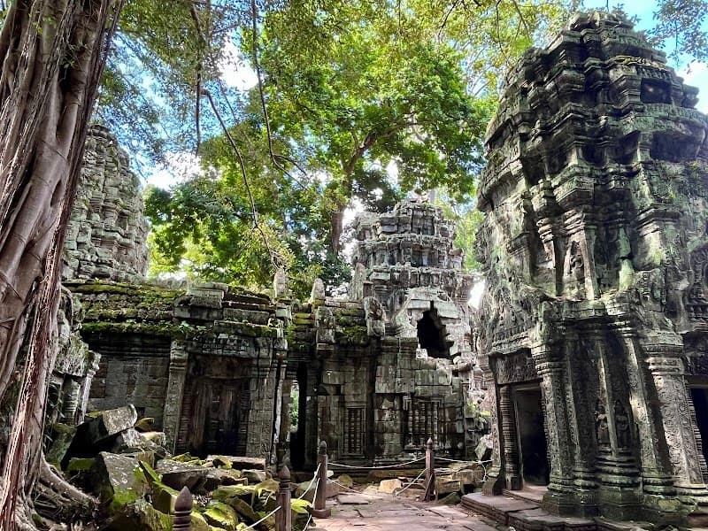 Ta Prohm Temple (Jungle Temple)
