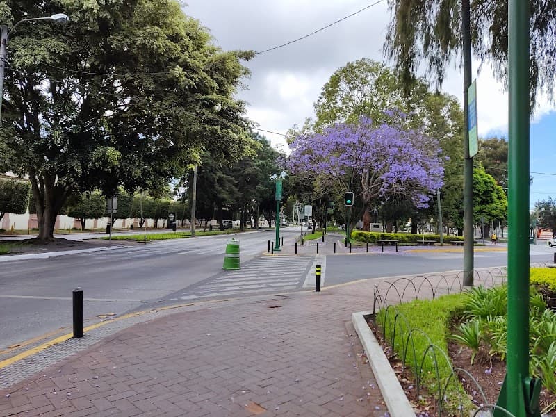 Taco Bell Zona 10 (Avenida Reforma)