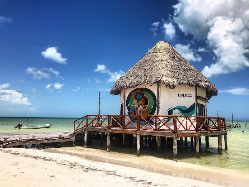 TacoQueto Holbox