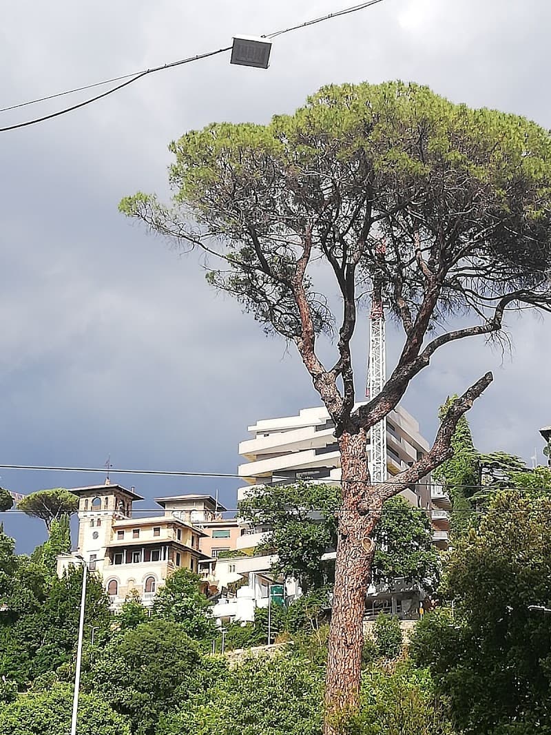 Taverna da Valentino