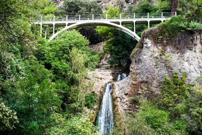 Tbilisi Botanical Garden