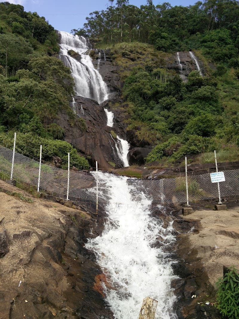 Tea County Walkway