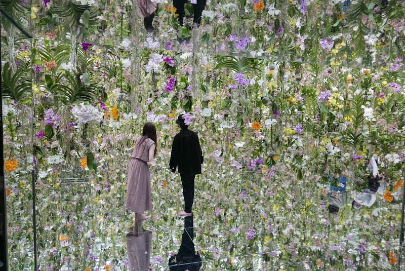 TeamLab Planets (Indoor)