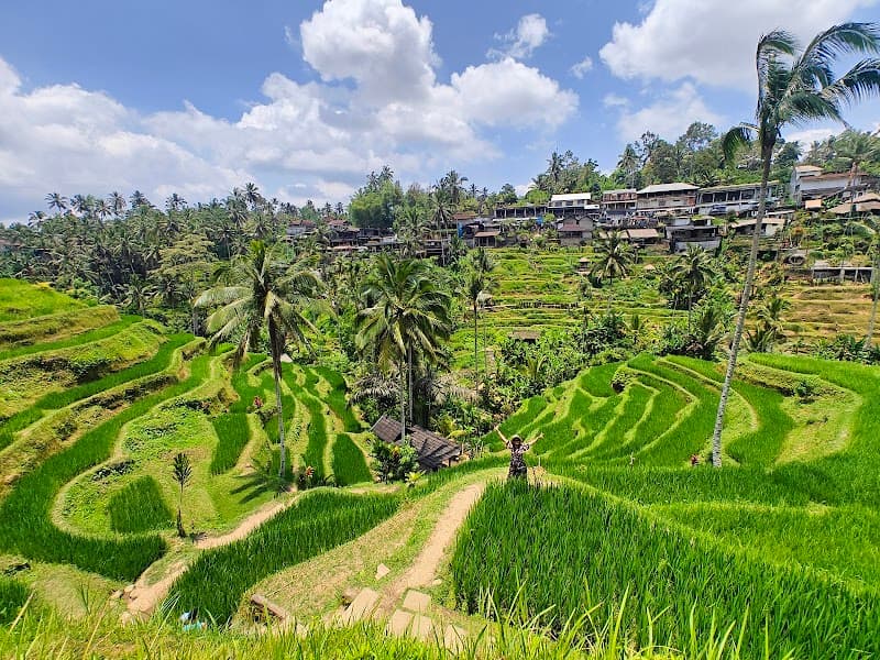 Tegalalang Rice Terraces