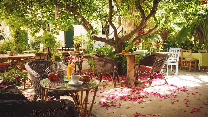 Temple Natura Café Garden (Light Dinner or Cakes)