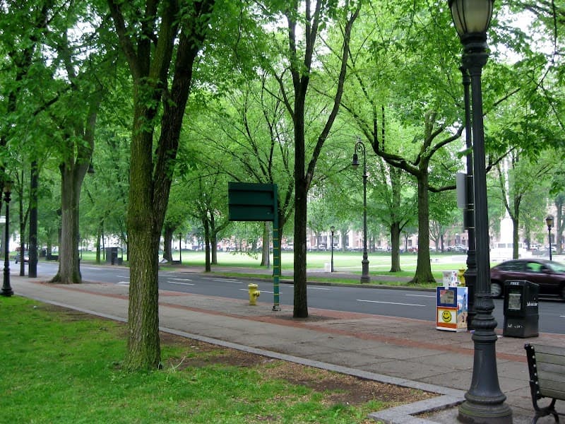 Temple Street Tree Tunnel Walk