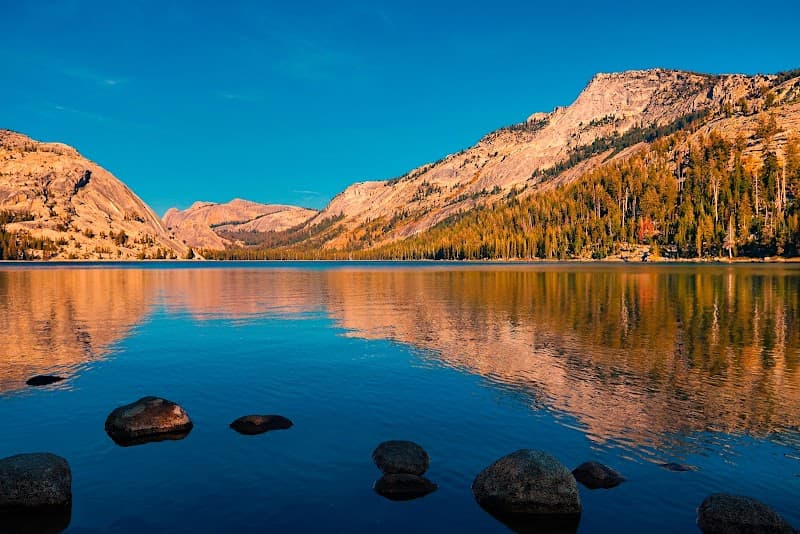 Tenaya Lake Shore Walk