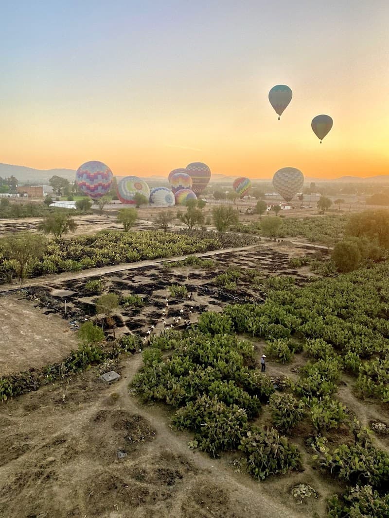 Teotihuacan Site Café