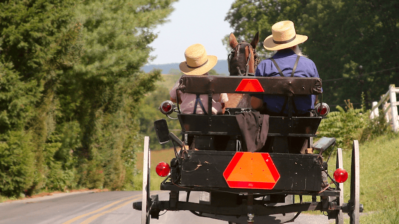 The Amish Farm and House