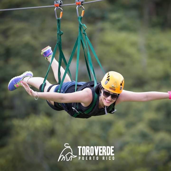The Beast Zipline Toro Verde