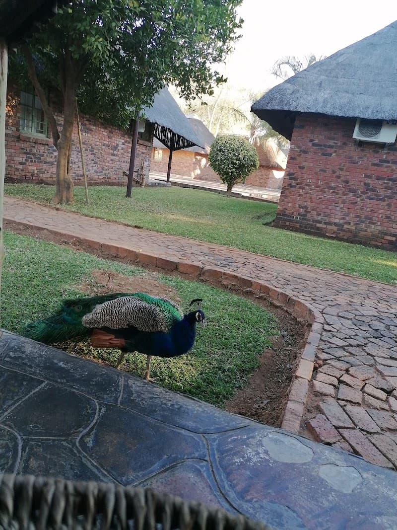 The Big Five Lodge Restaurant