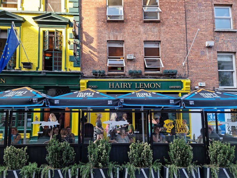 The Hairy Lemon