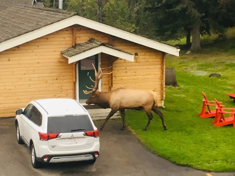 The Jasper Chop House