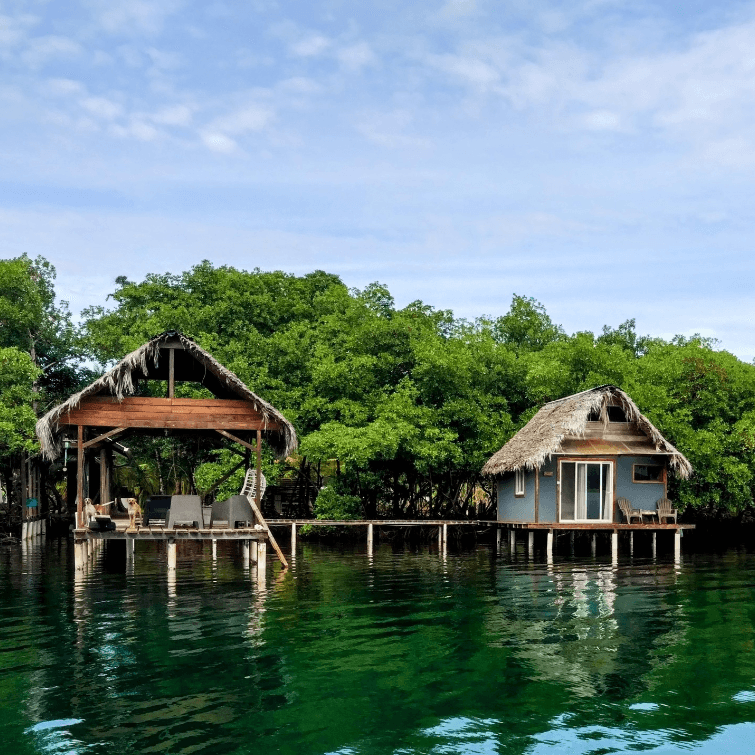 The Reef Restaurant