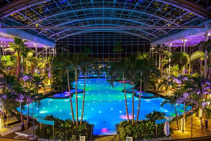 Therme București Palm Zone