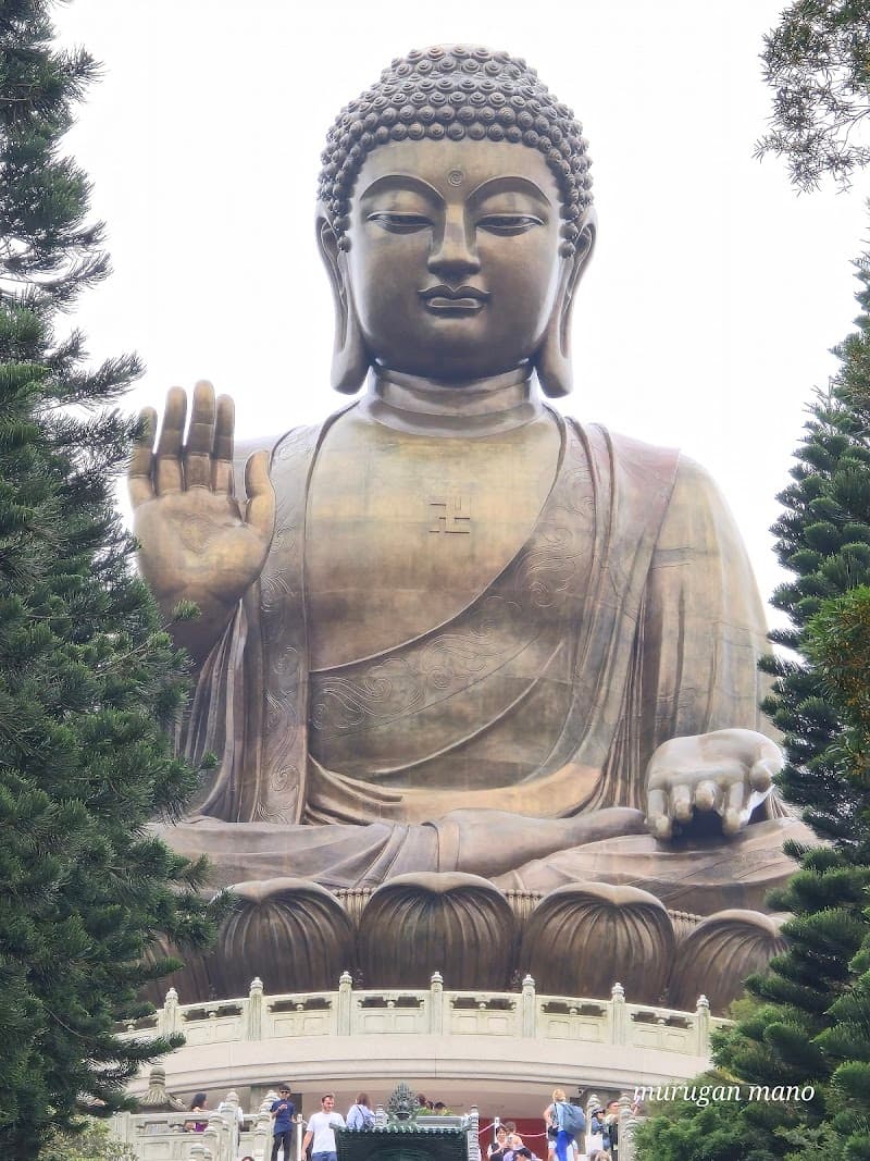 Tian Tan Buddha & Po Lin Monastery