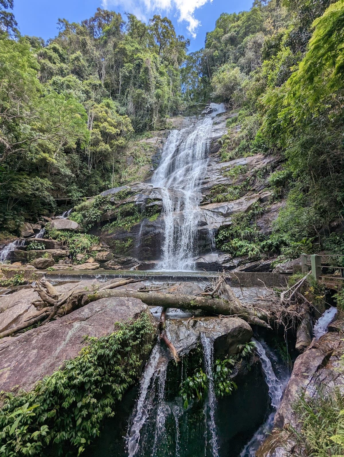 Tijuca National Park Hike