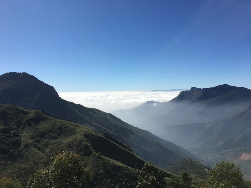 Top Station Viewpoint