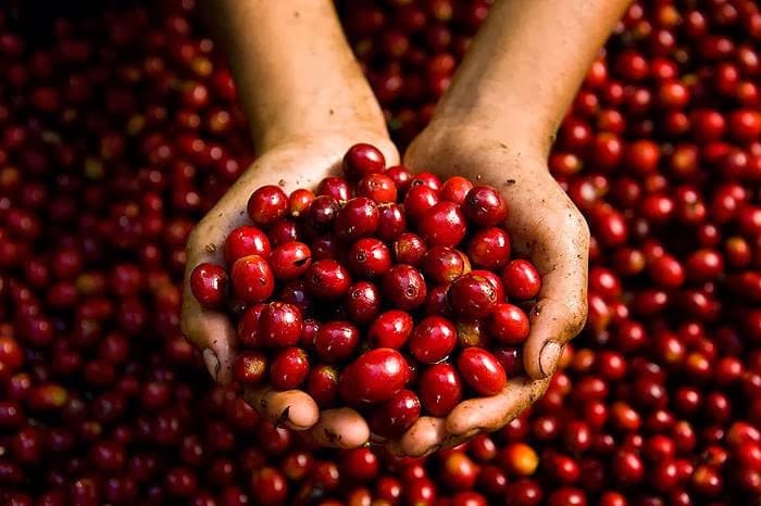 Topeca Coffee Roasters