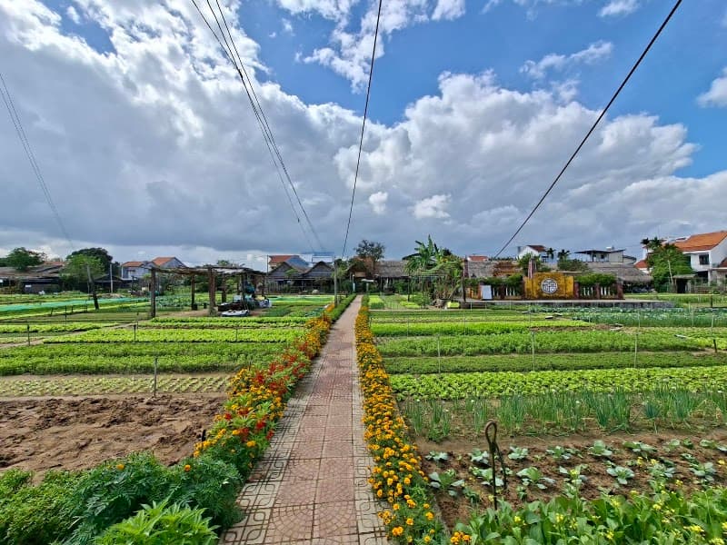 Tra Que Vegetable Village Walk