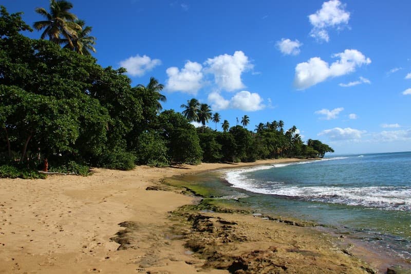 Tres Palmas Marine Reserve