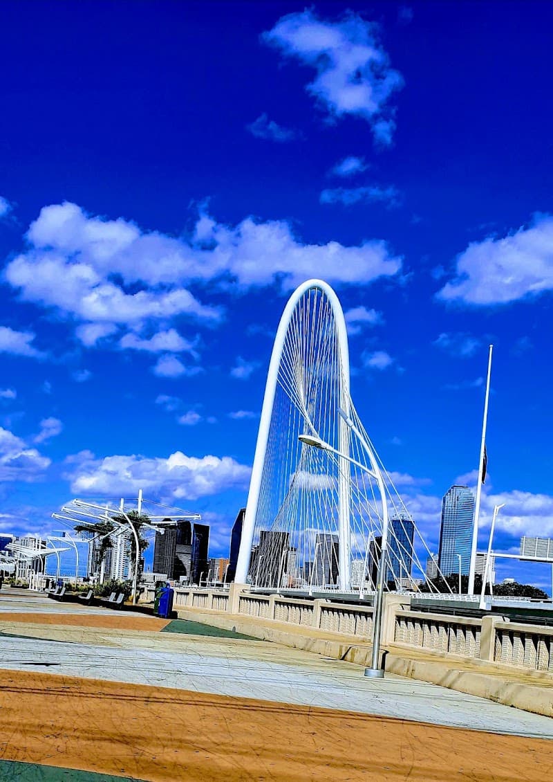 Trinity Groves (multiple restaurants)