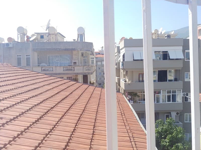 Wild Green Alanya: A Coastal Jungle Escape
