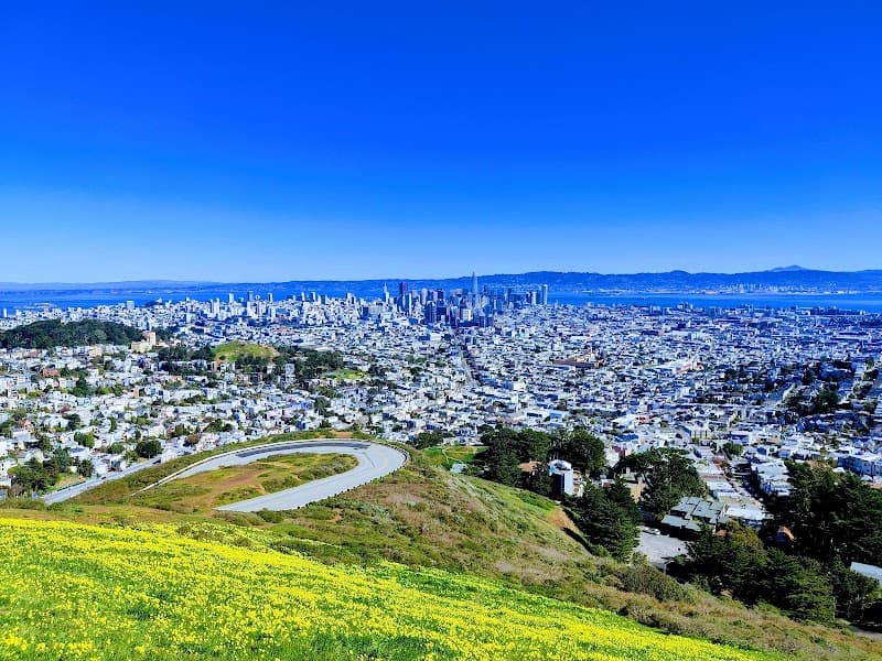 Twin Peaks Viewpoint