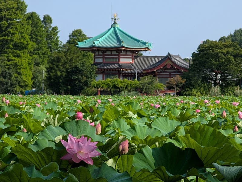 Ueno Park & Shinobazu Pond
