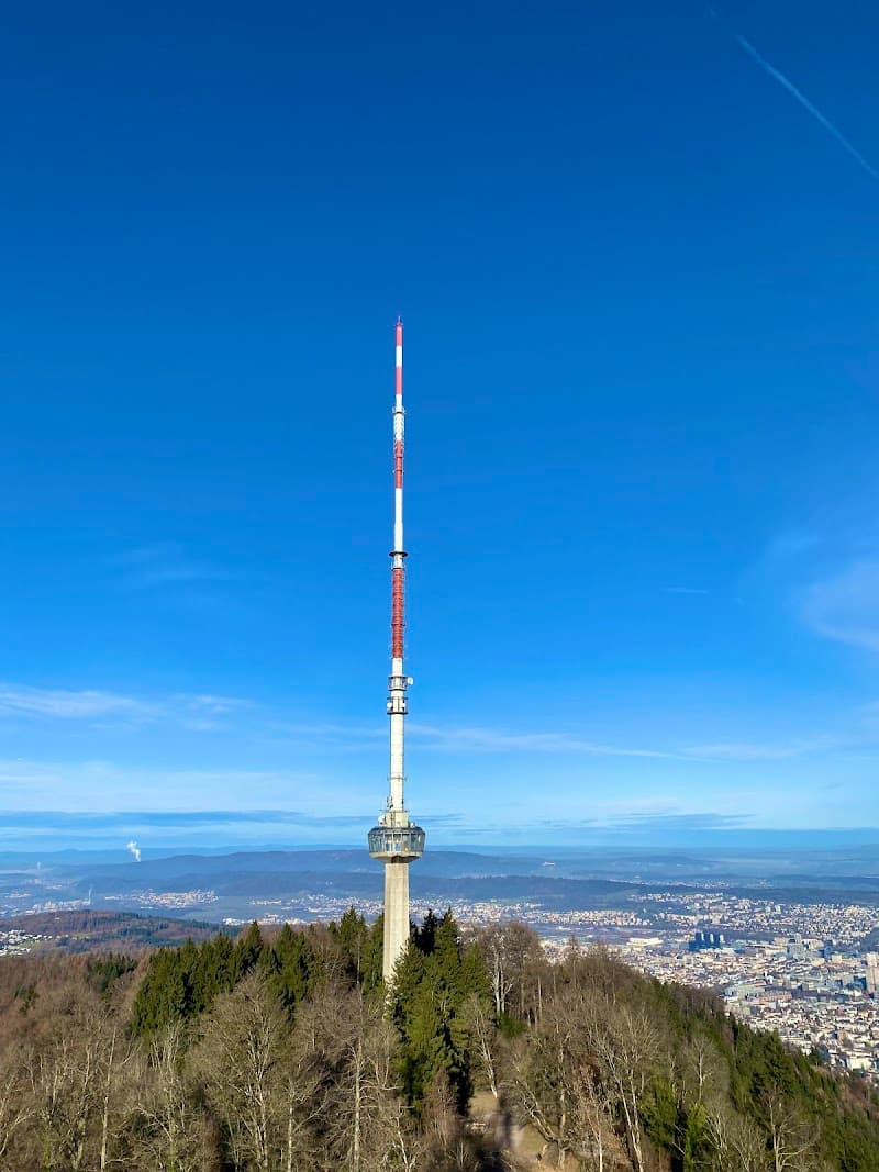 Uetliberg Mountain Walk
