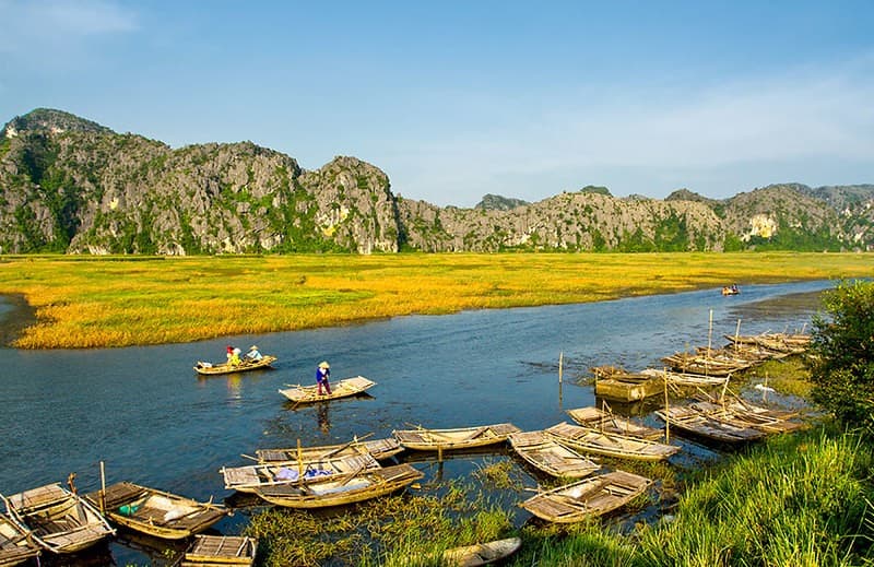 Van Long Wetland Boat Trip