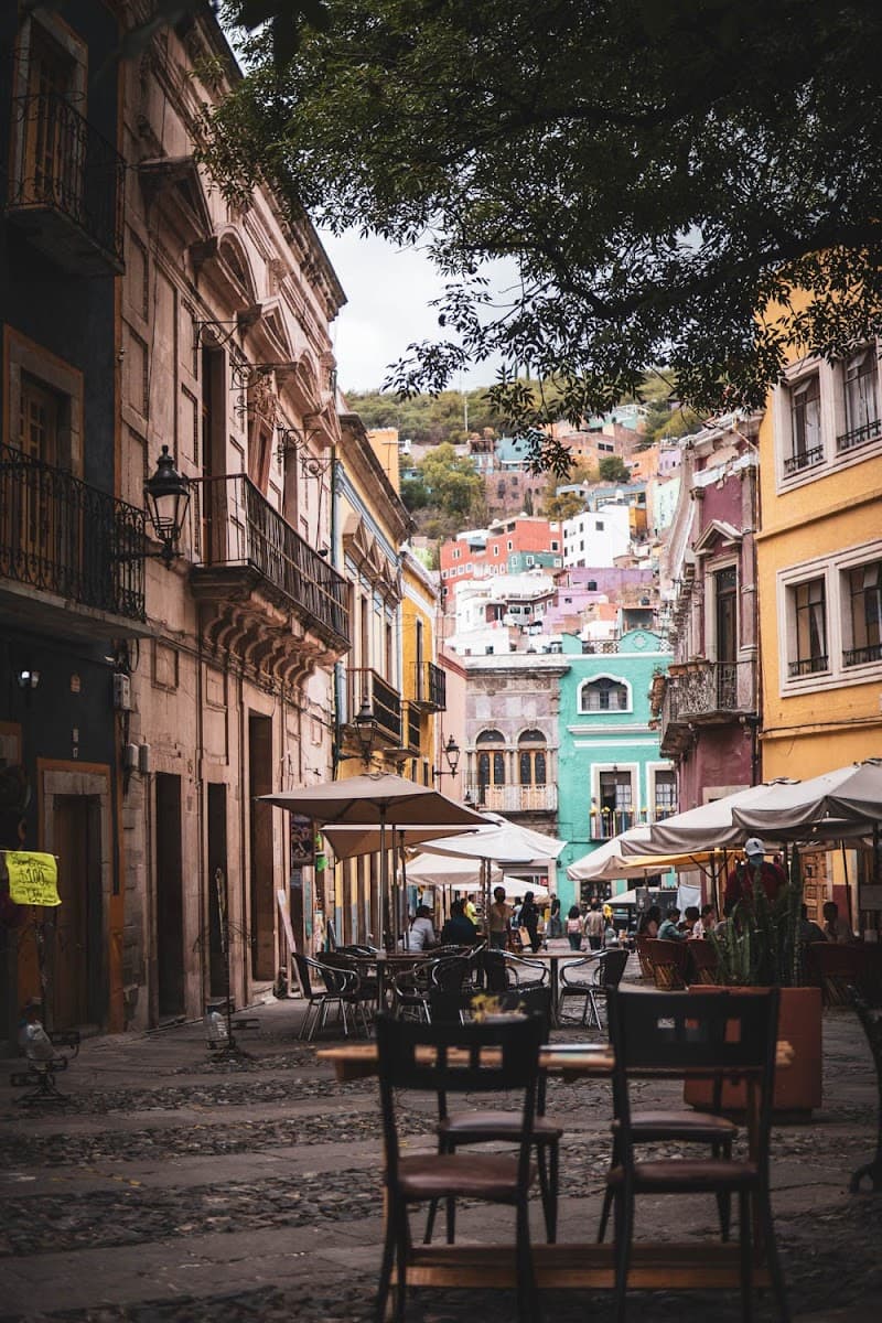 Vegetarian-Friendly Stands in Plaza San Fernando