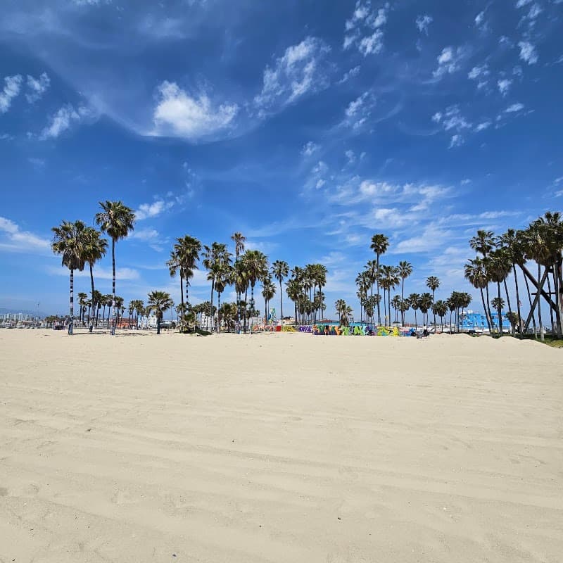 Venice Beach Boardwalk & Skatepark