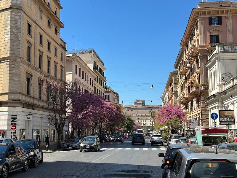 Via Cola di Rienzo Shopping & Prati Stroll