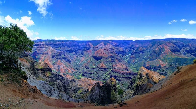Waimea Canyon Drive & Lookouts