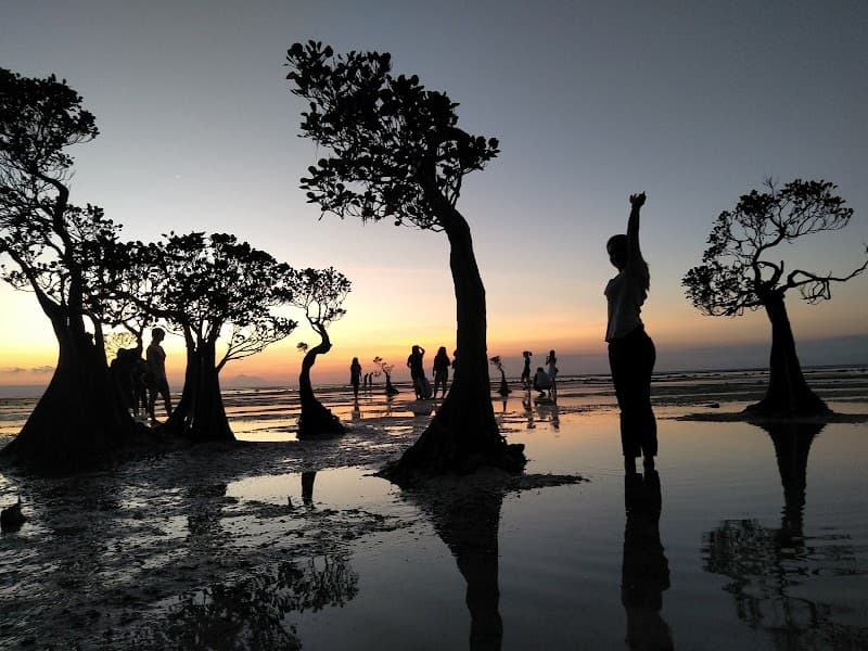 Walakiri Mangrove Sunset
