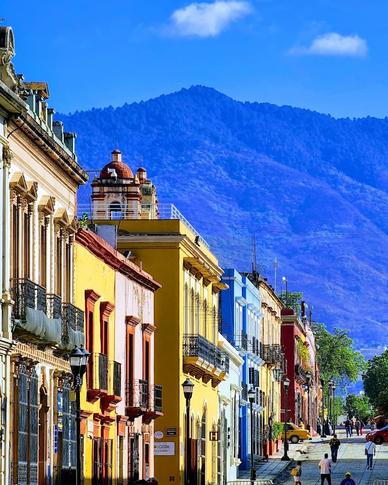 Seven Wild Days in Oaxaca’s Green Heart