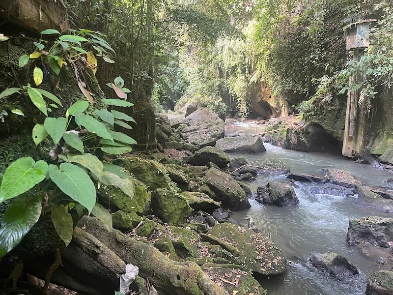 Warung Petanu