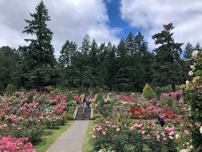 Washington Park - International Rose Test Garden