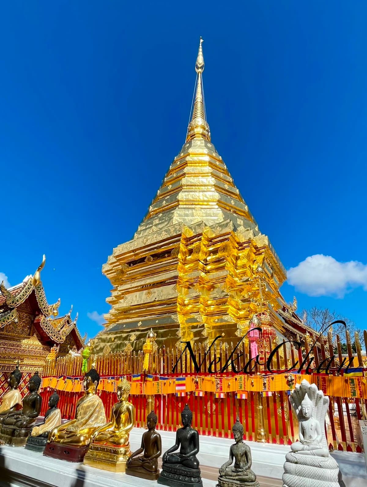 Wat Phra That Doi Suthep Summit Trek